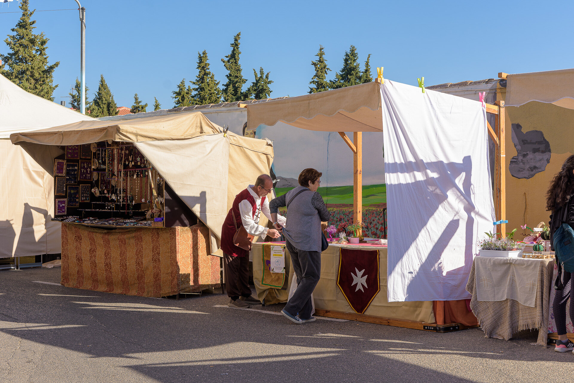 Castillo de Polán (5)