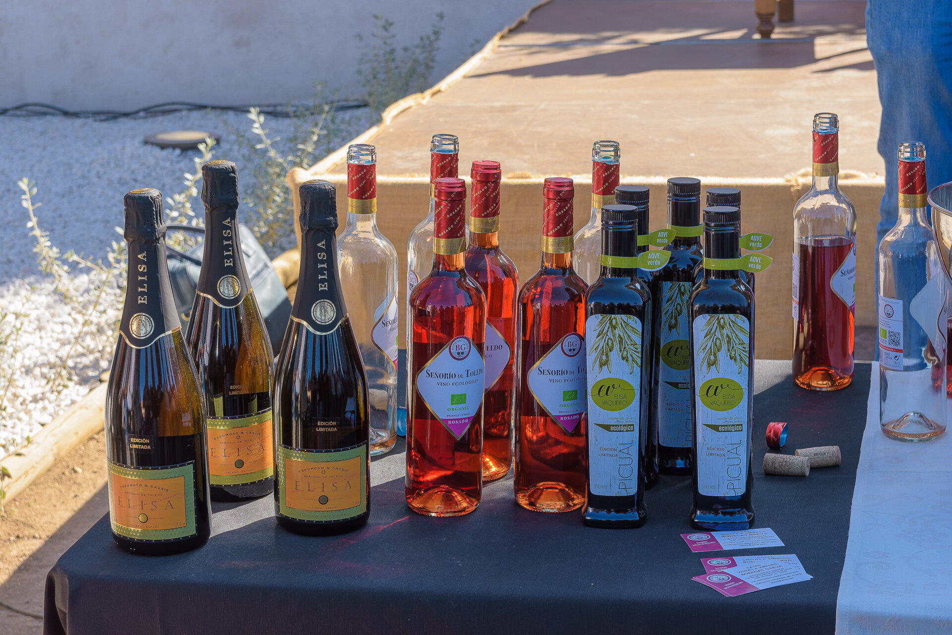 Castillo de Polán (98)