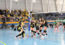 Línces Voleibol