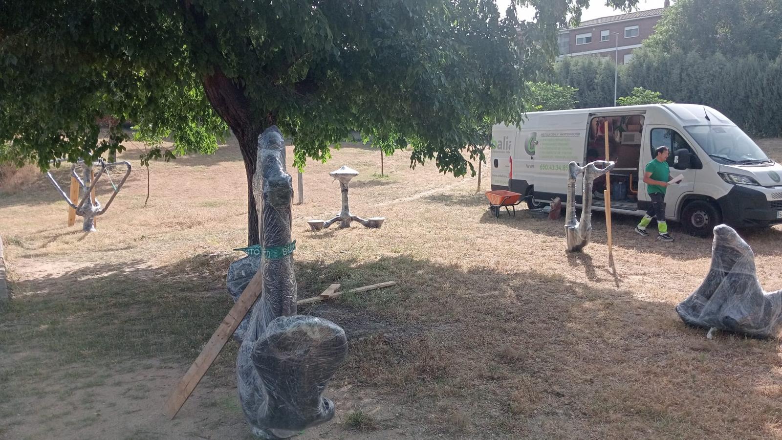 olias San Francisco 1