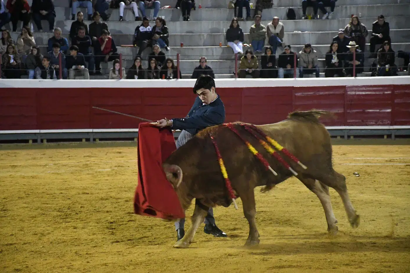 bargas taurino 2 copia