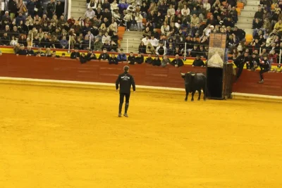 milagro 4