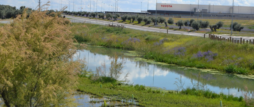 PLATAFORMA C IBERUM PLATAFORMA C IBERUM