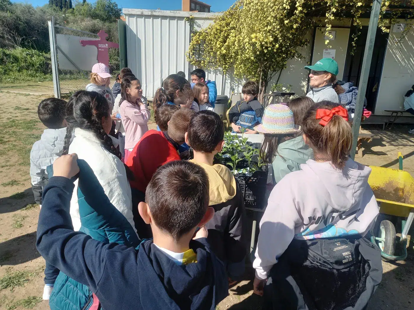 olias educacion ambiental MA3 olias educacion ambiental MA3