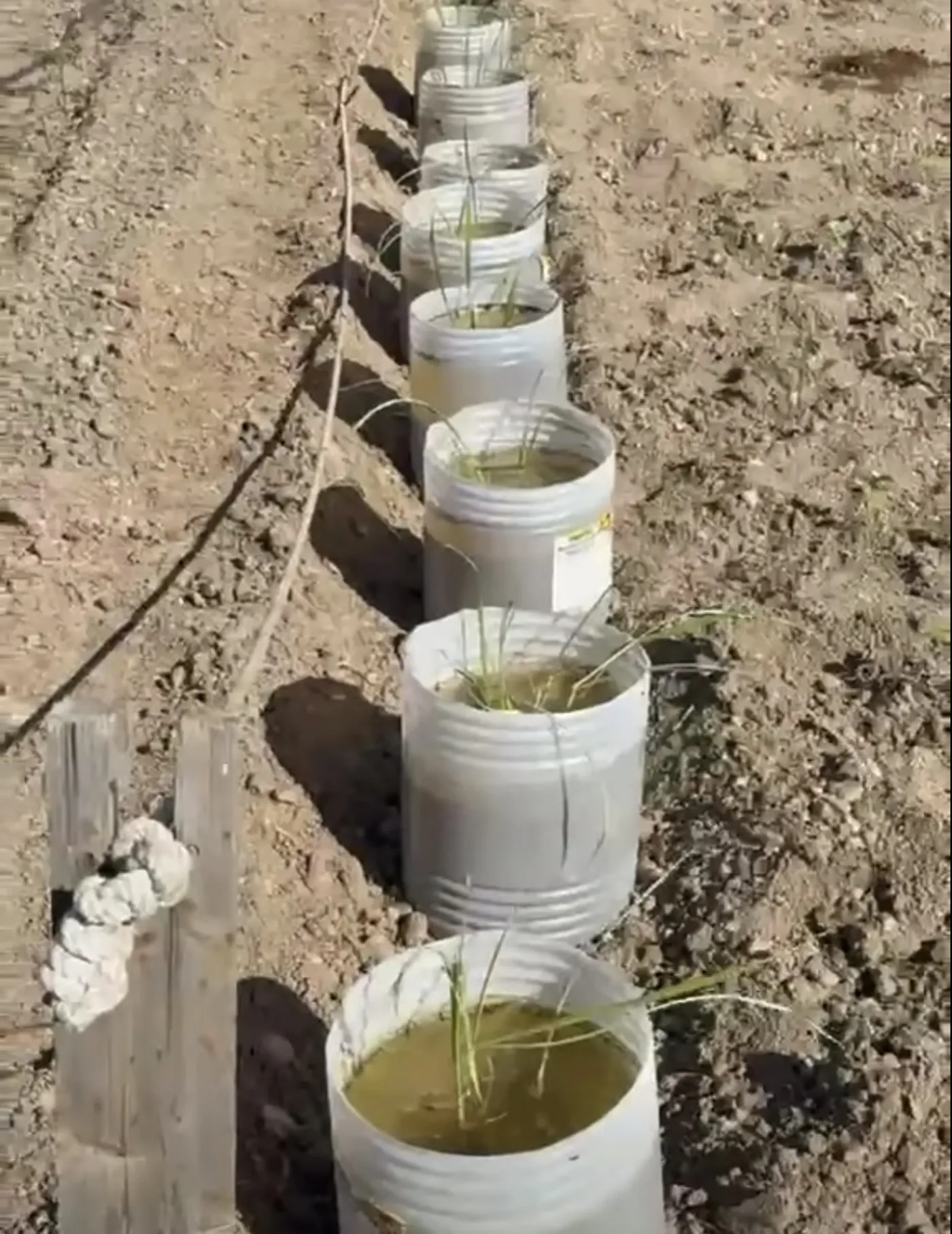 Parcela de los huertos urbanos de Ugena en uso por vecinos del municipio