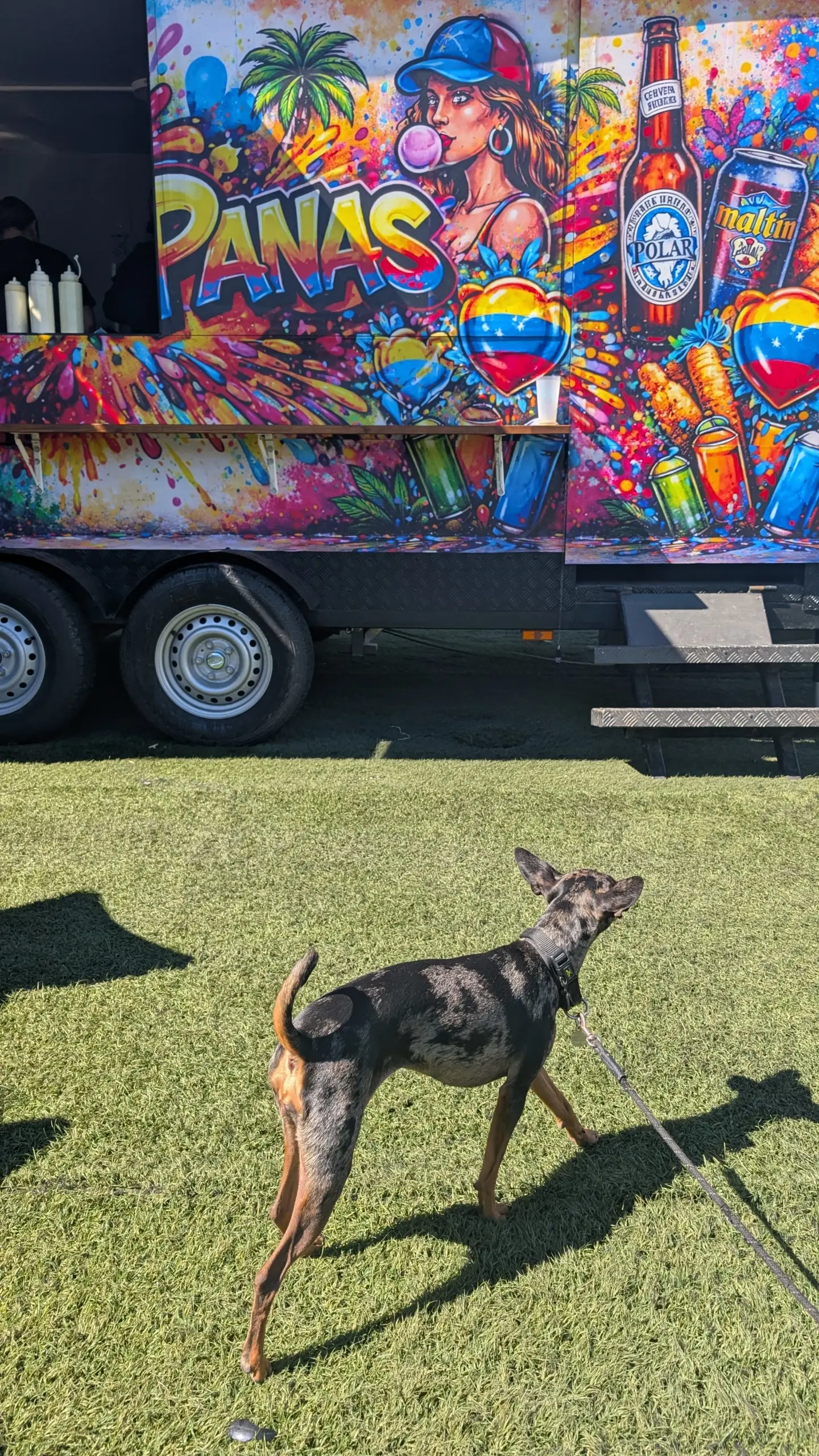 Foodtrucks_señorioplaza1