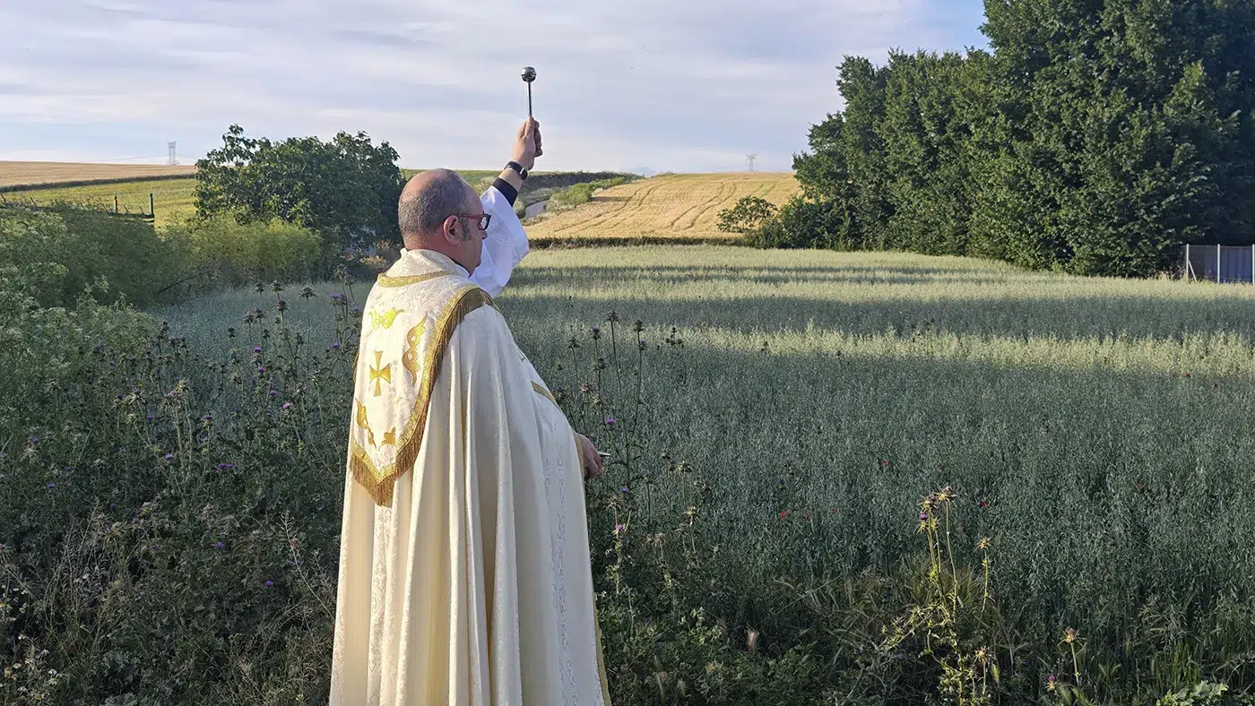 yuncler san isidro 33