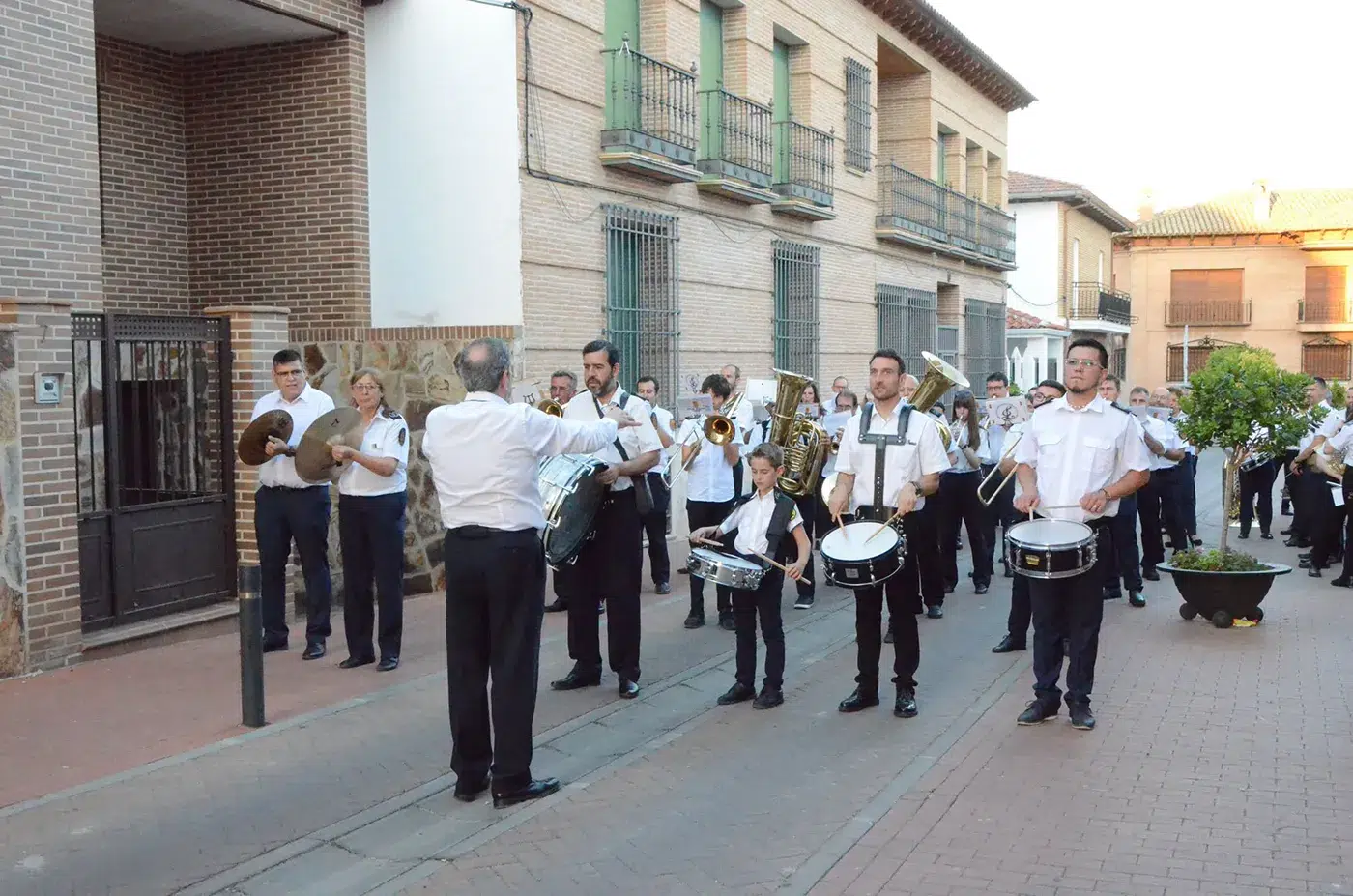 cobeja bandas 2
