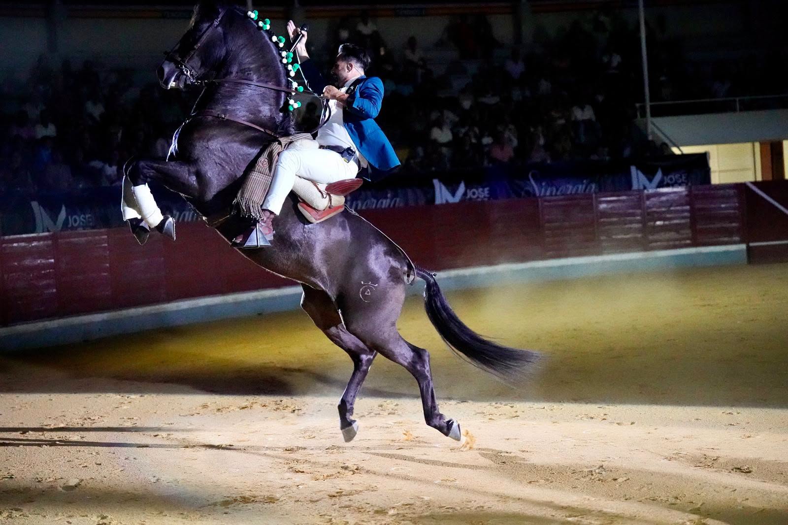 villaseca caballo 5