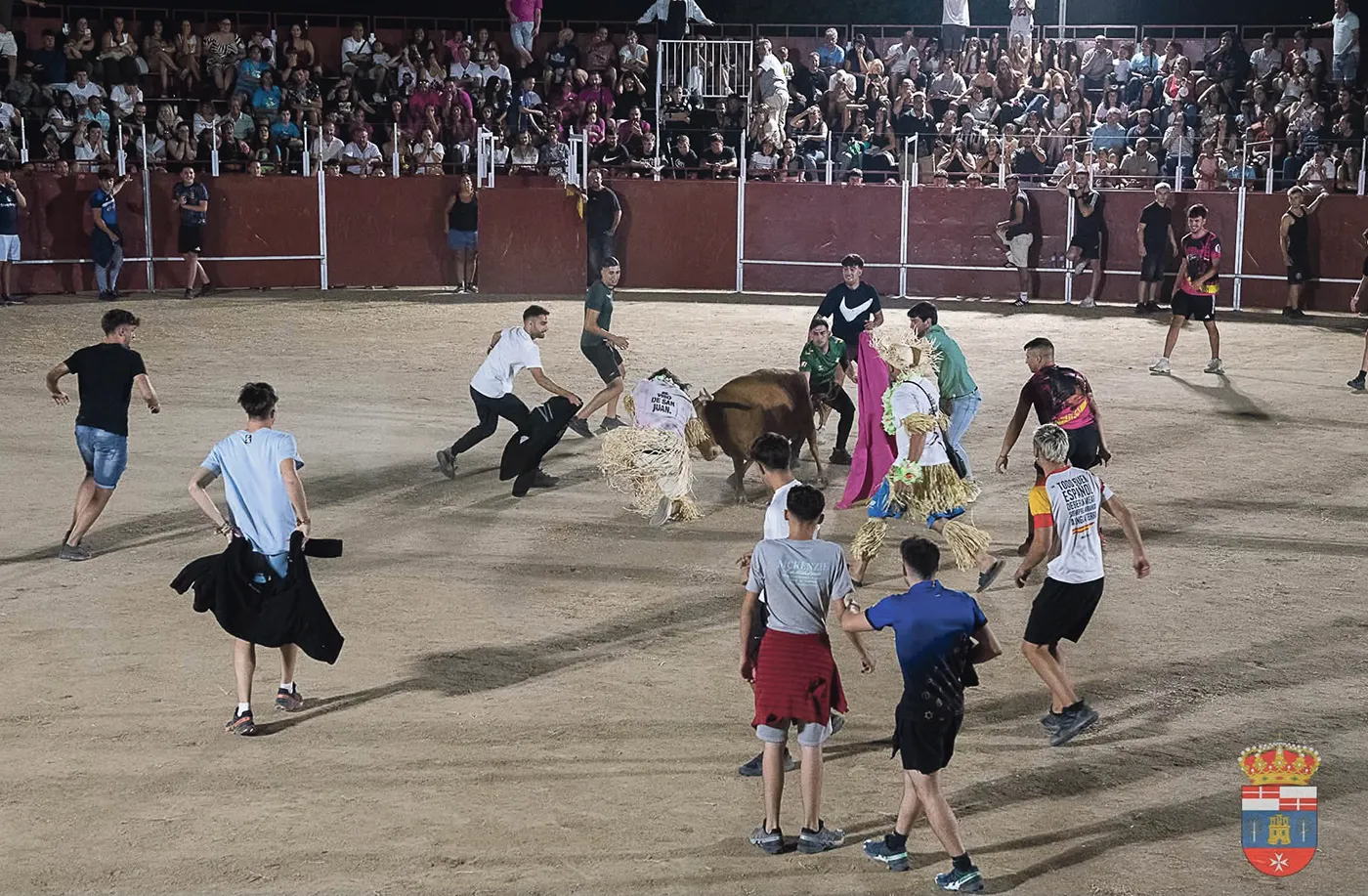 el viso fiestas 1