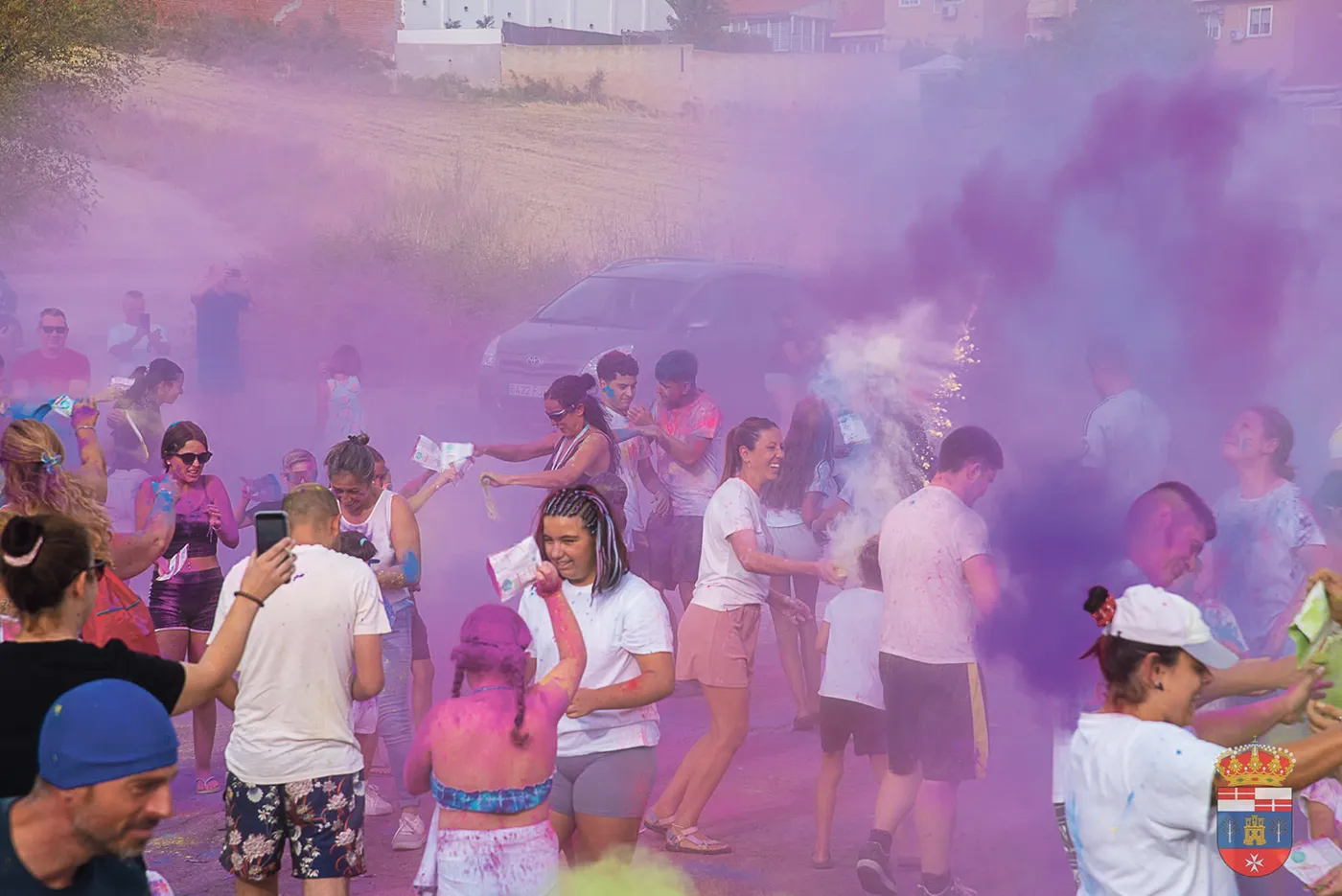 el viso fiestas 25