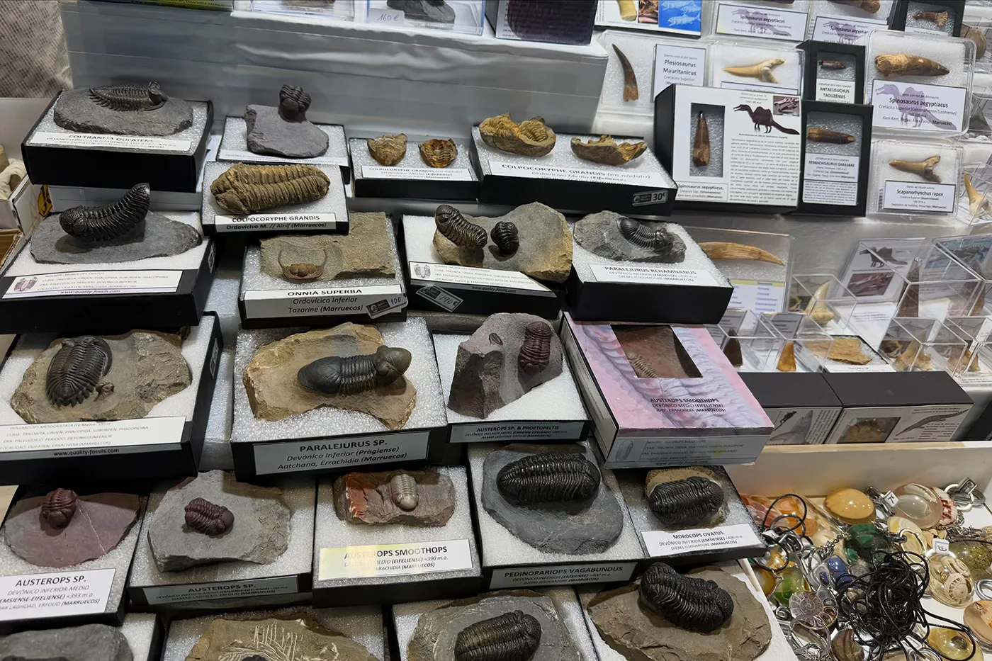 pantoja minerales 3
