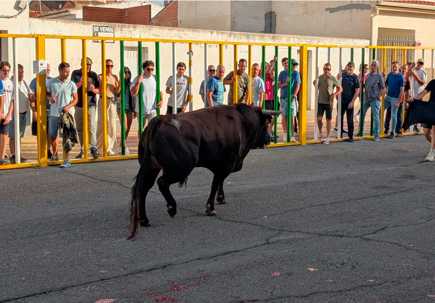 villaseca encierros 4